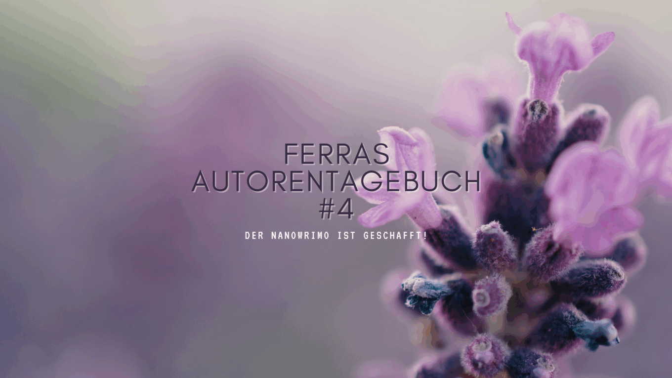 NaNoWriMo ist geschafft und was jetzt im Dezember ansteht